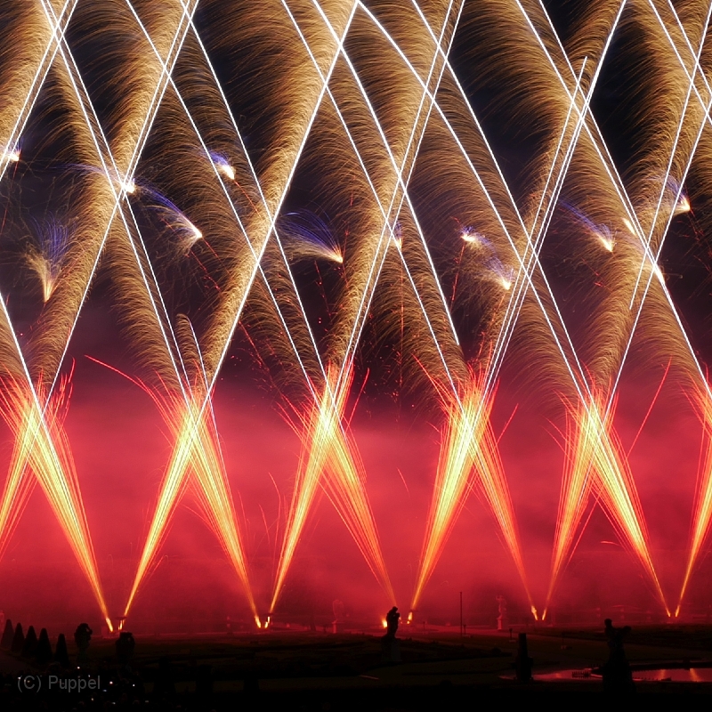 A T-20220528-222022-P4310471-gx1.jpg